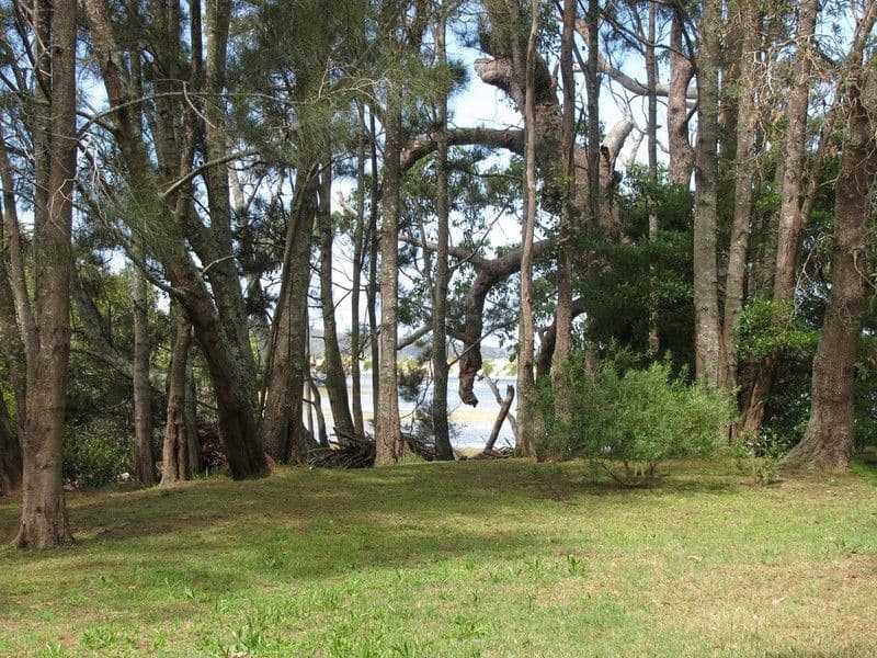 247 Annetts Parade, MOSSY POINT NSW 2537, Mossy Point - Thumbnail 5