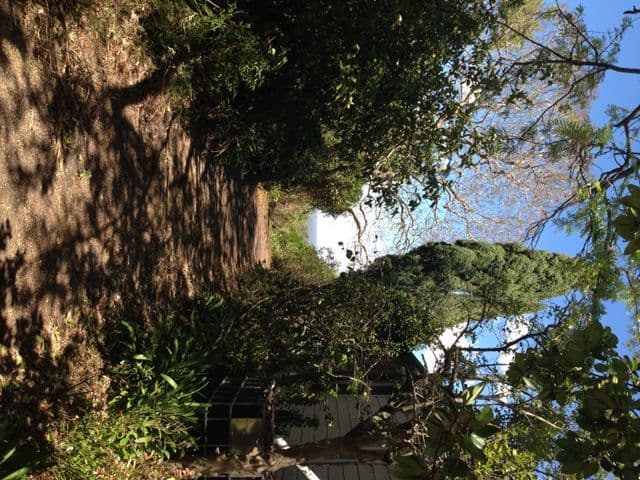 1106 Grose Vale Road, KURRAJONG NSW 2758, Kurrajong - Thumbnail 3
