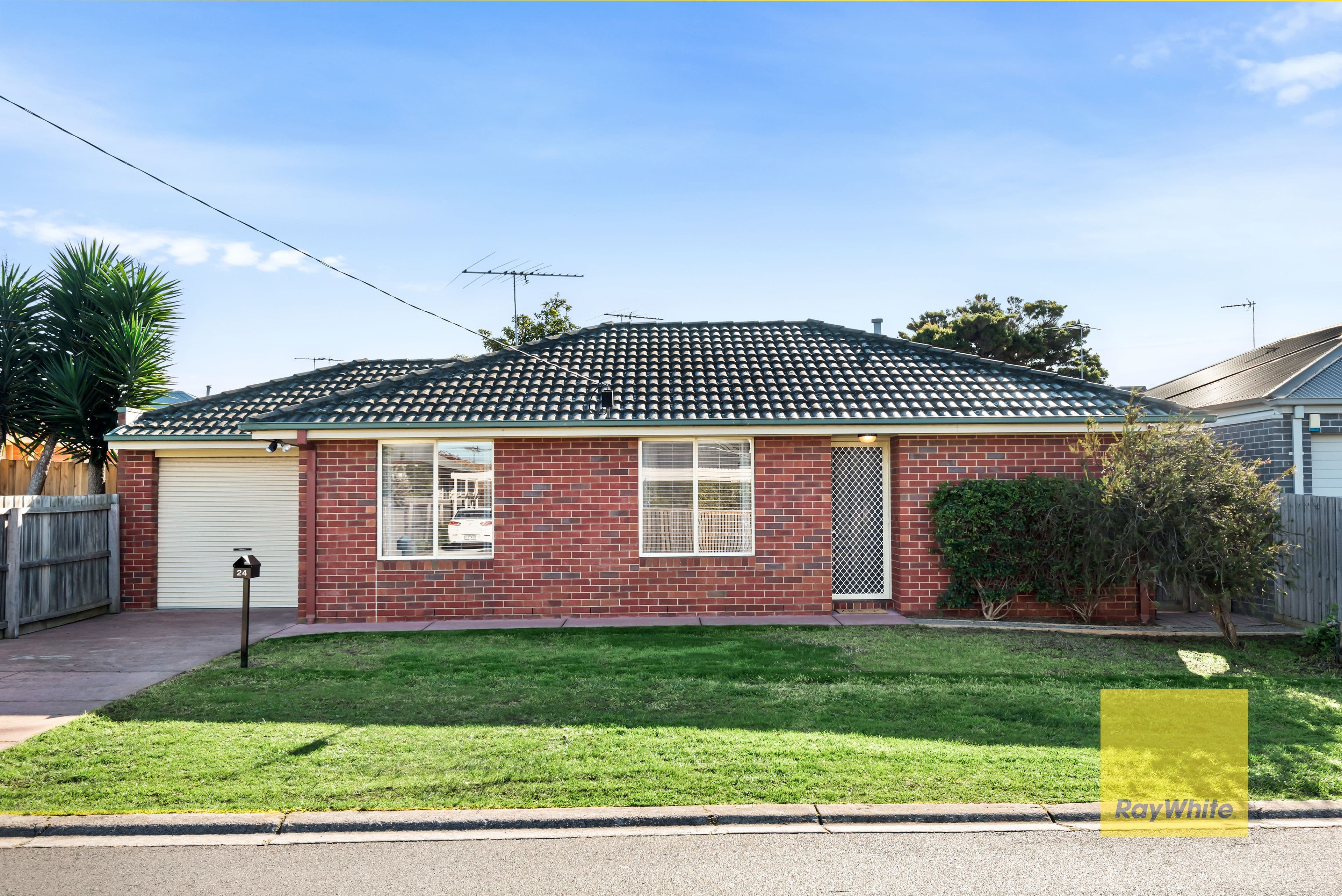 24 Watson Avenue, Belmont VIC 3216, Belmont - Thumbnail 3