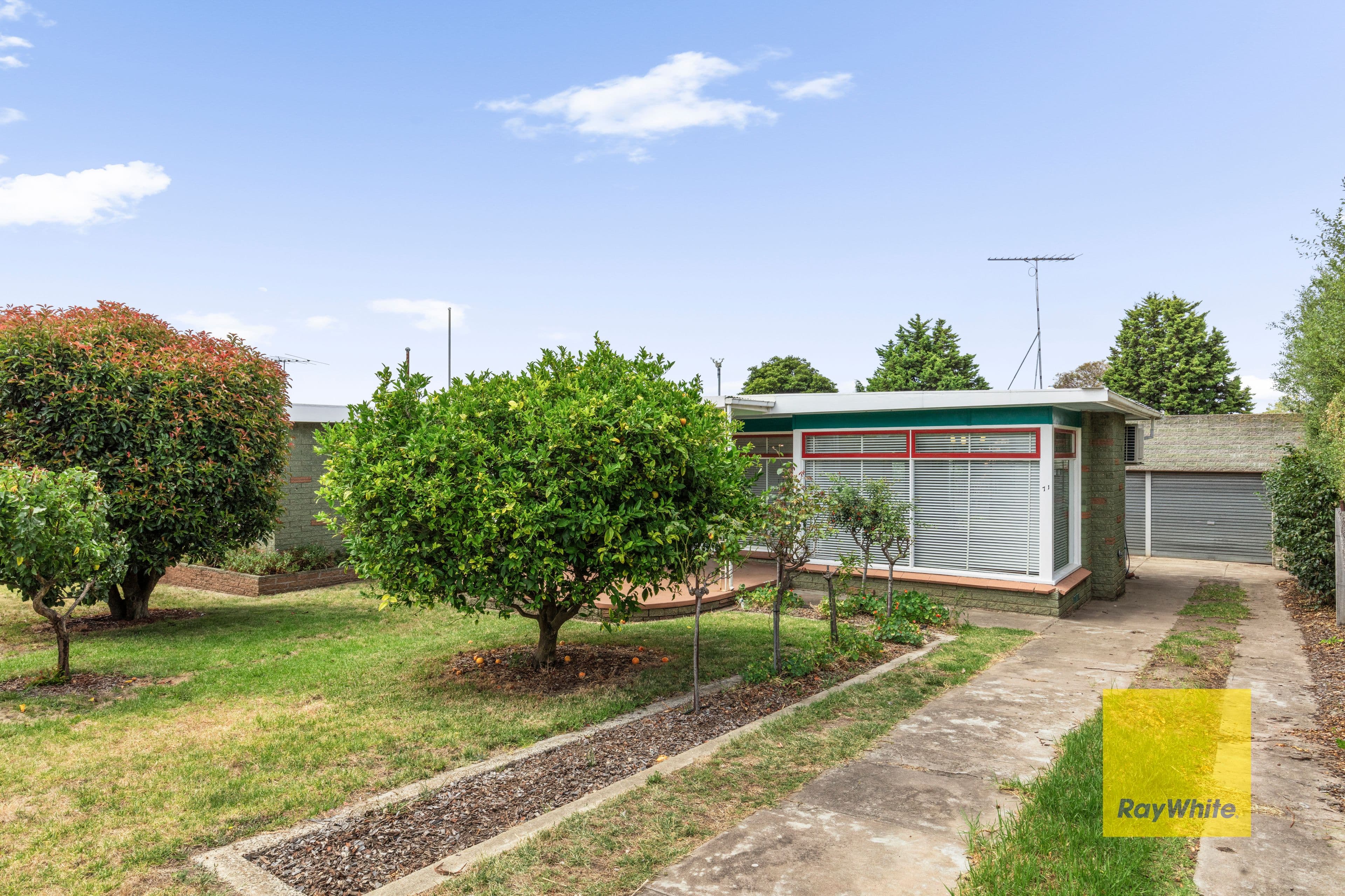 71 James Street, Belmont VIC 3216, Belmont - Thumbnail 3