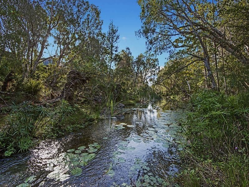 1584 Riverway Drive, Kelso QLD 4815, Kelso - Thumbnail 3