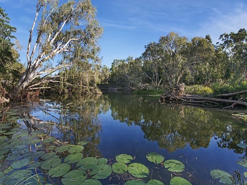 1584 Riverway Drive, Kelso QLD 4815, Kelso - Thumbnail 4