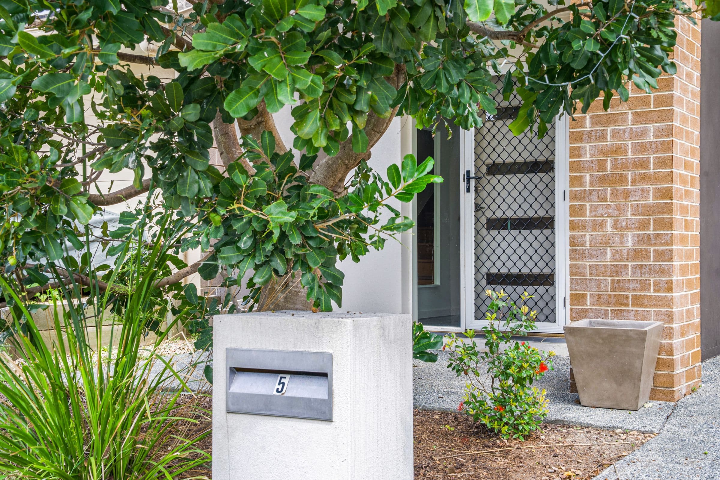 5 Bayleaf Street, Griffin QLD 4503, Griffin - Thumbnail 3