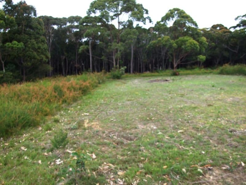 15 Glasford Crescent, KIOLOA NSW 2539, Kioloa - Thumbnail 3