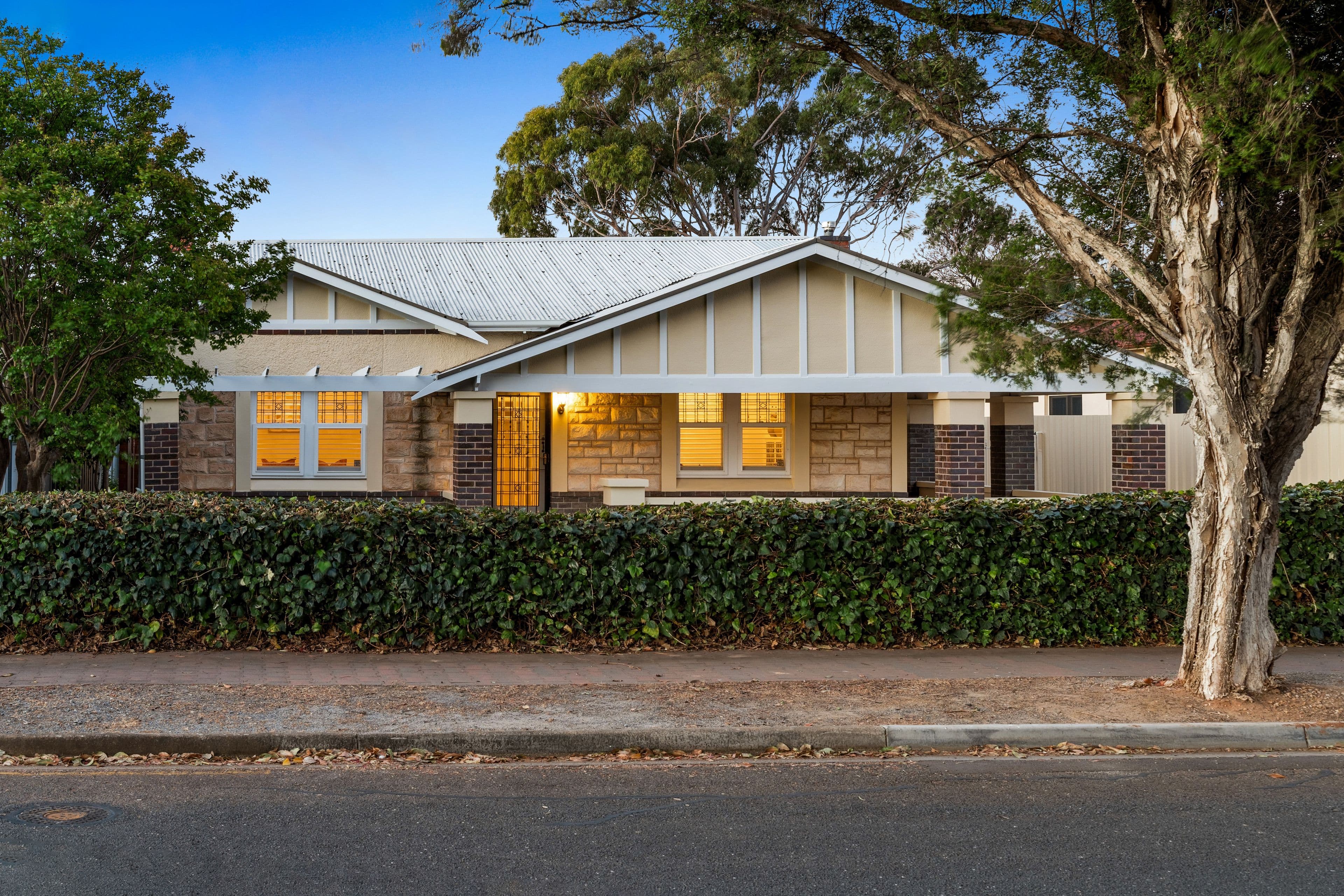 66 Dudley Avenue, Daw Park SA 5041, Daw Park - Image 1