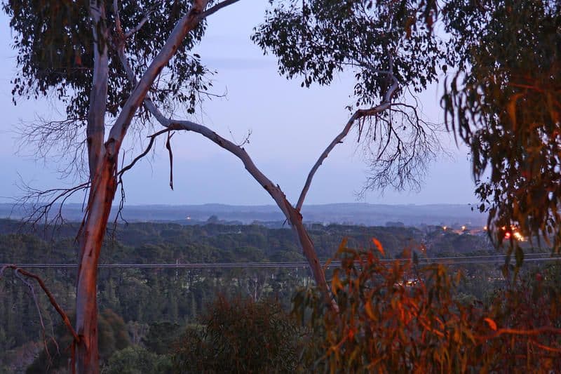 36-38 Bernhardt Place, Ninderry, QLD, 4561, Ninderry - Thumbnail 4