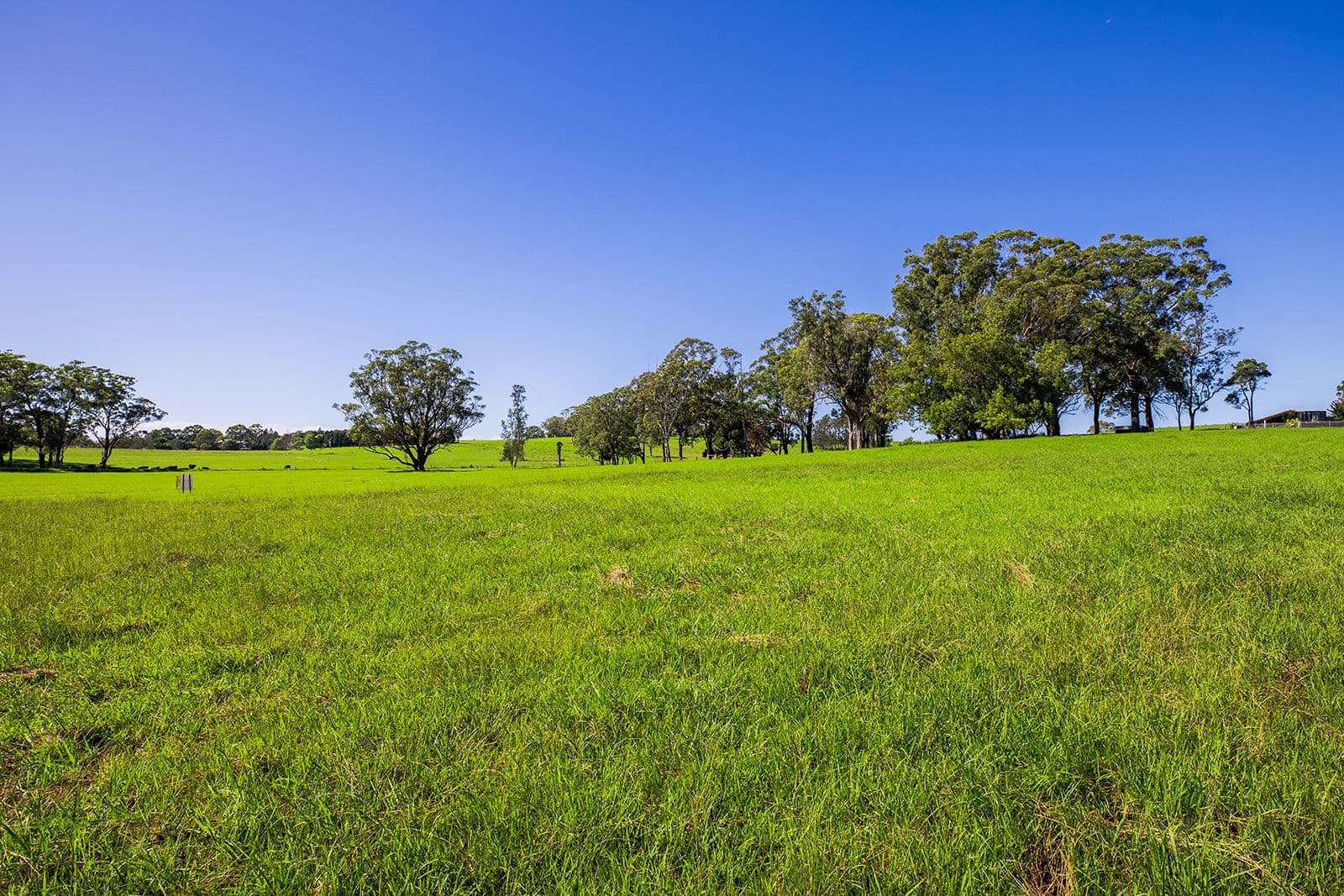 Lot 1 'Serenity Ridge' 510 Beach Road, Berry NSW 2535, Berry - Thumbnail 3