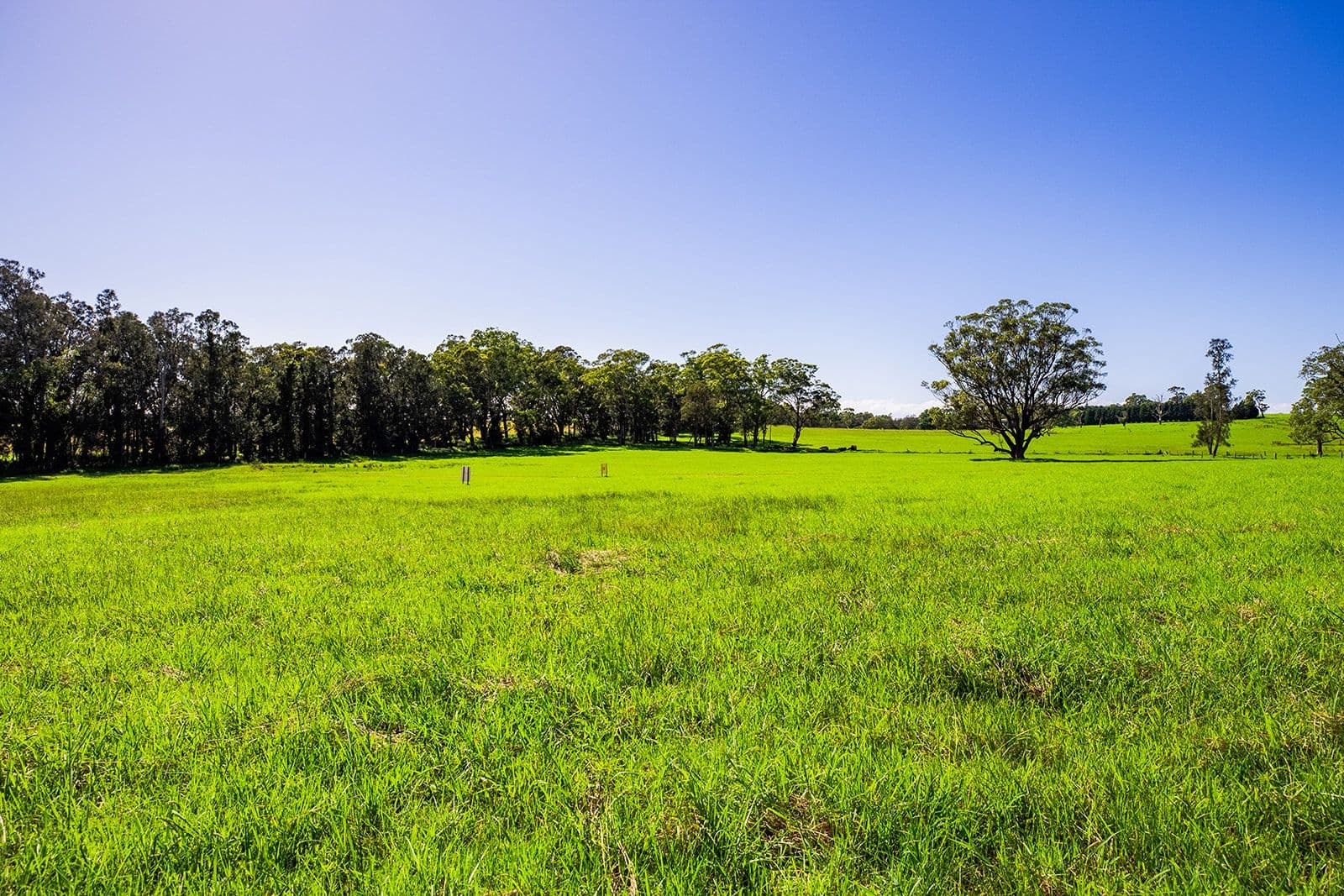 Lot 1 'Serenity Ridge' 510 Beach Road, Berry NSW 2535, Berry - Thumbnail 4