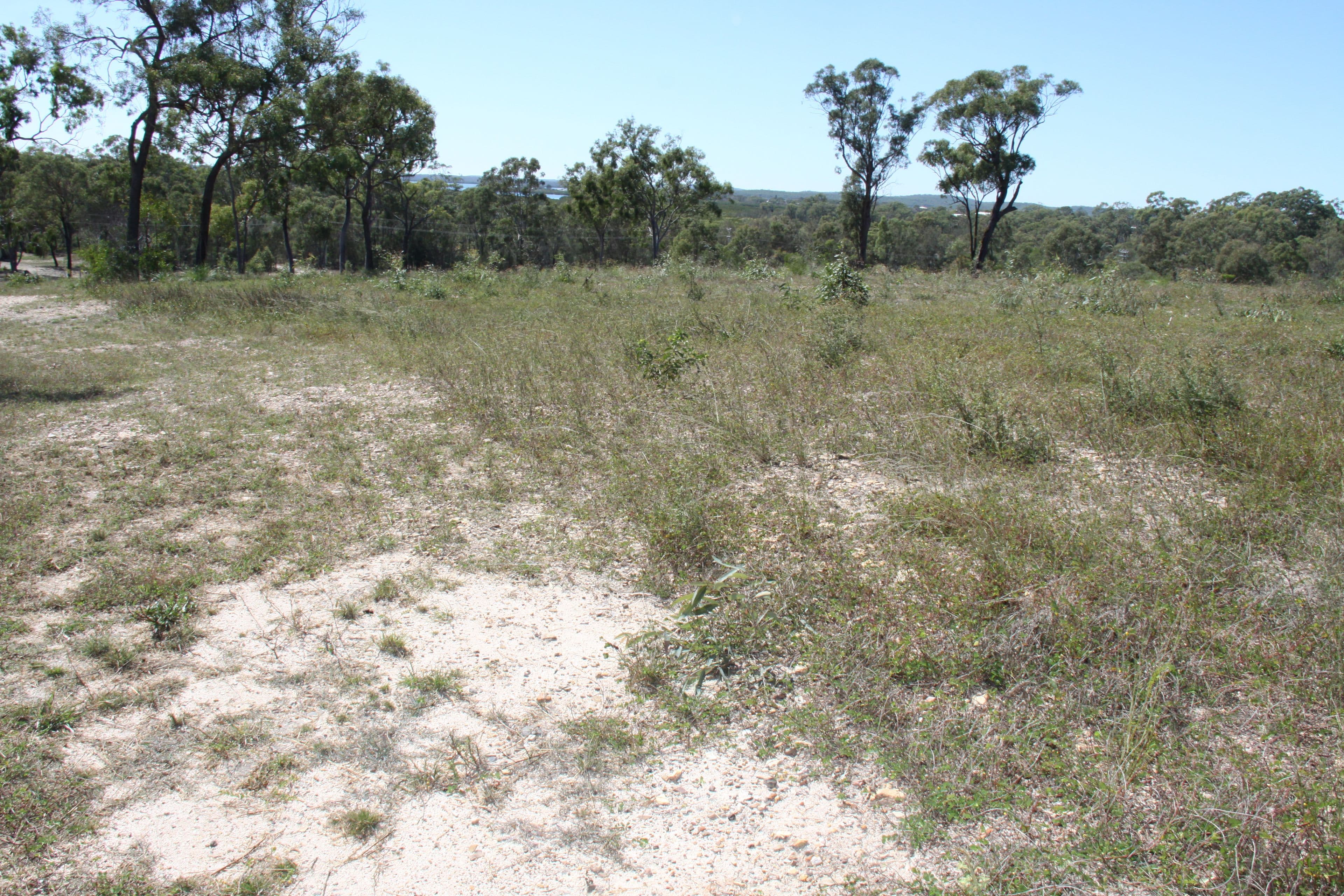 161 Bells Road, Rodds Bay QLD 4678, Rodds Bay - Thumbnail 5