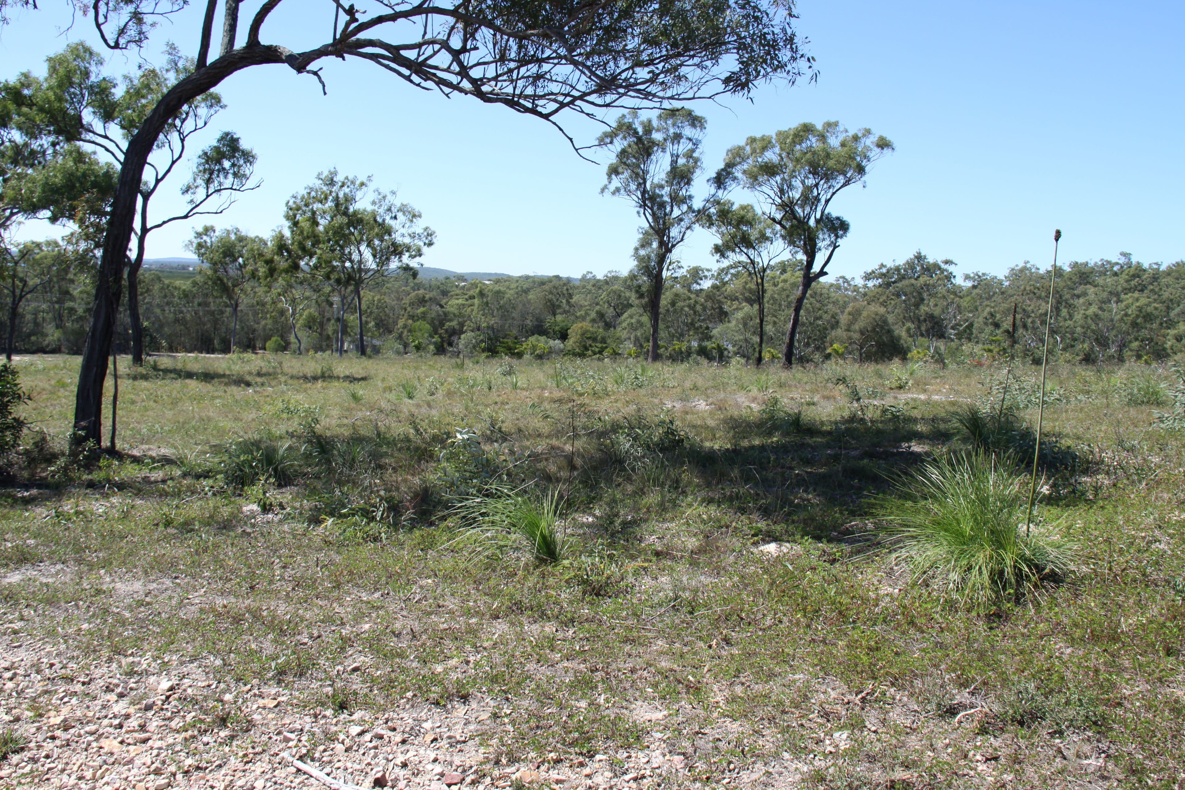 161 Bells Road, Rodds Bay QLD 4678, Rodds Bay - Thumbnail 6
