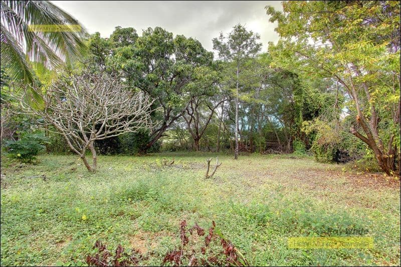 3 and 5 Whyte Street, HERMIT PARK QLD 4812, Hermit Park - Thumbnail 7
