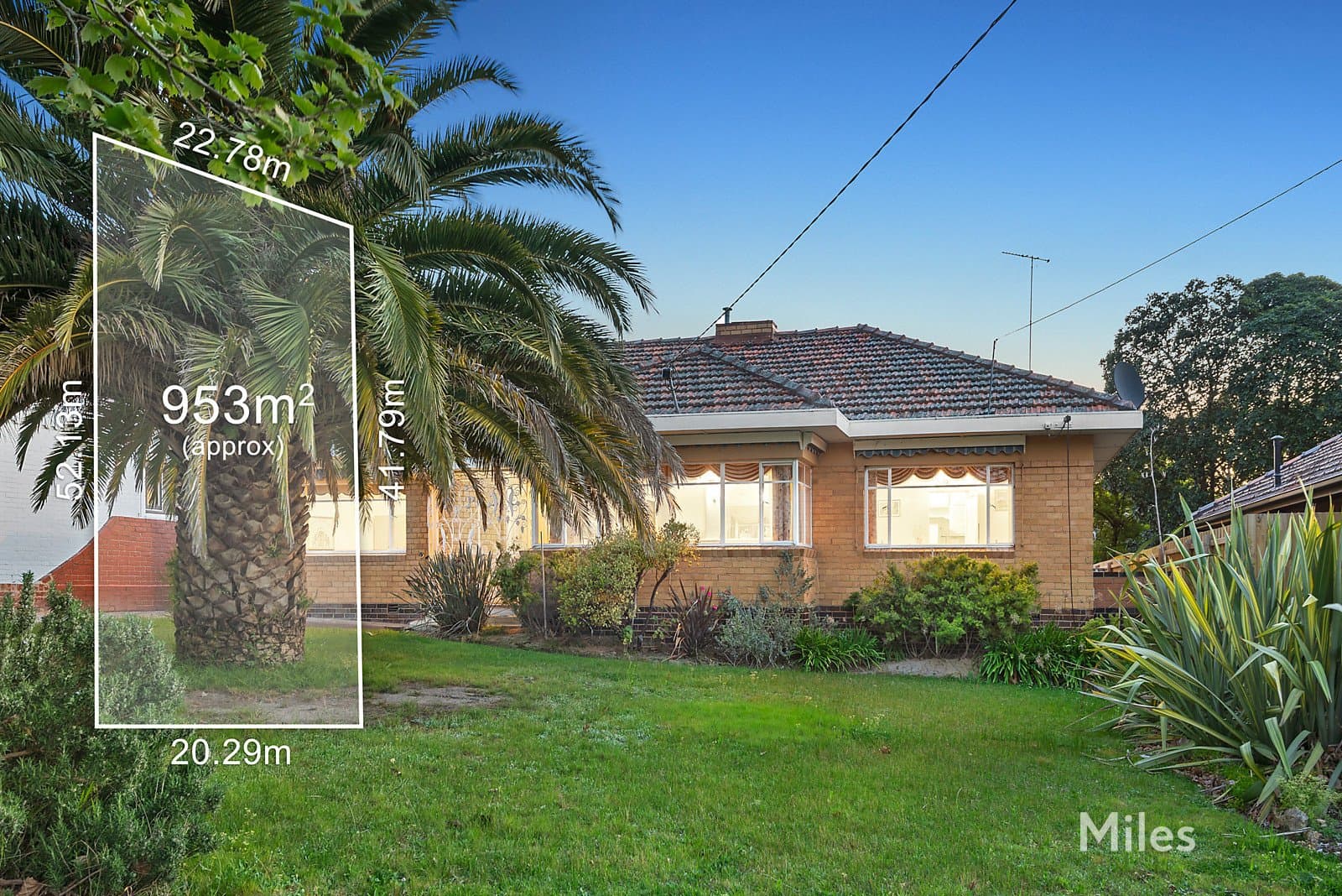 75 McArthur Road, Ivanhoe East, Ivanhoe East - Thumbnail 3