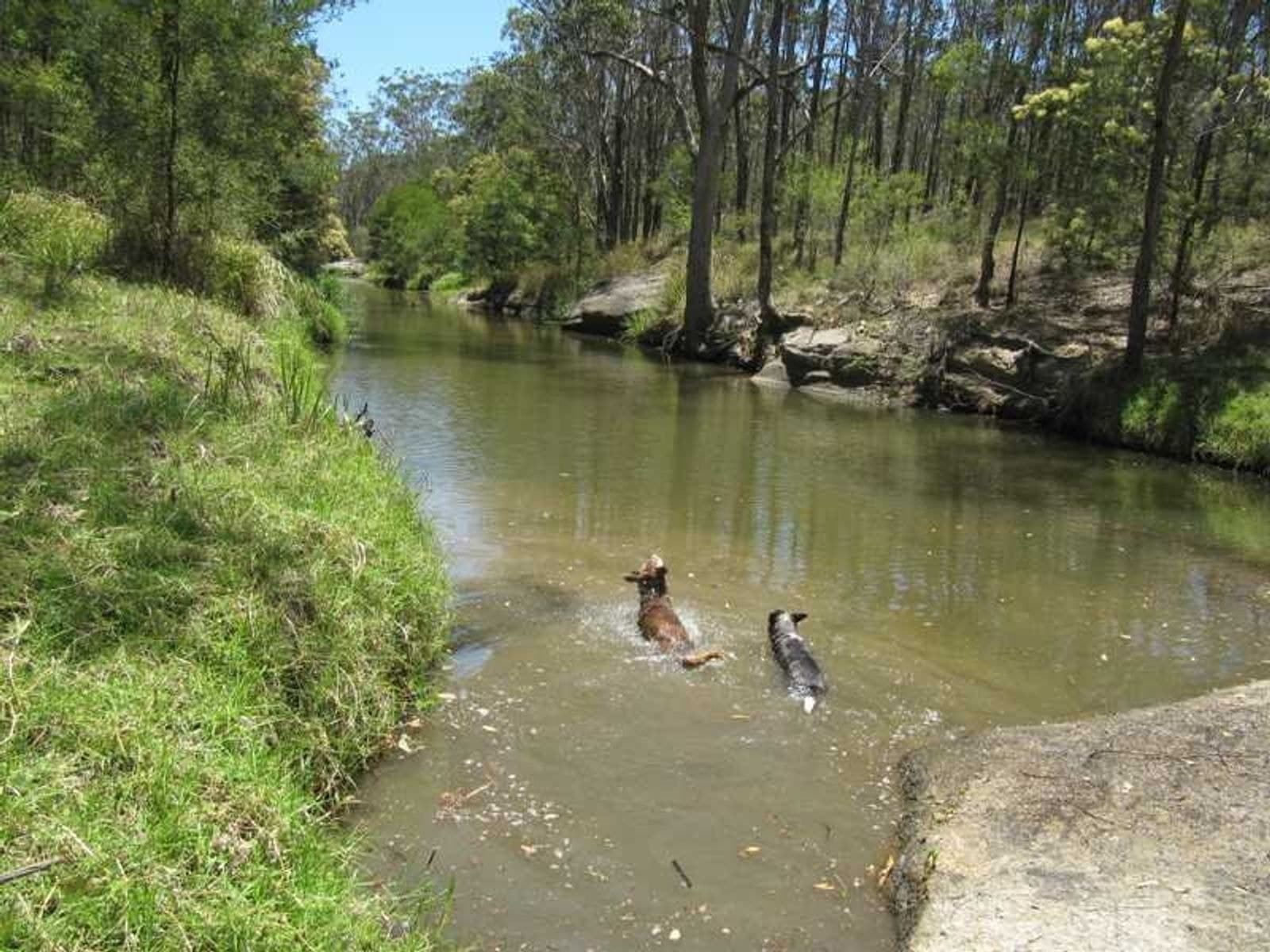 Vinegar Hill Road QLD 4373, Vinegar Hill Road - Thumbnail 6
