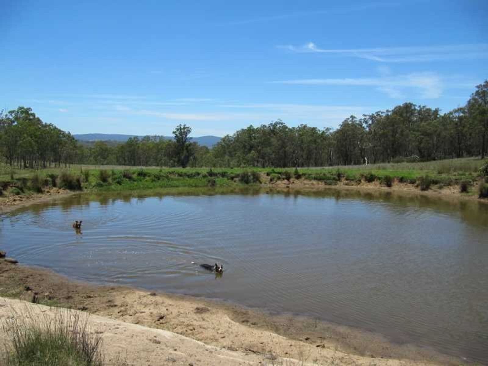 Vinegar Hill Road QLD 4373, Vinegar Hill Road - Thumbnail 7