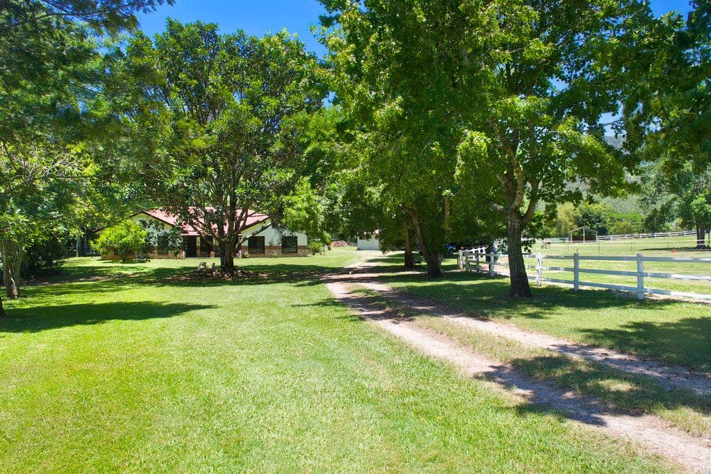 91 Petsch Creek Road, Tallebudgera Valley QLD 4228, Tallebudgera Valley - Thumbnail 4