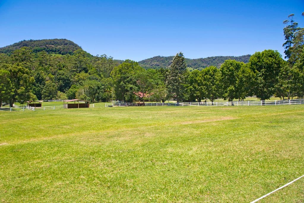 91 Petsch Creek Road, Tallebudgera Valley QLD 4228, Tallebudgera Valley - Thumbnail 7