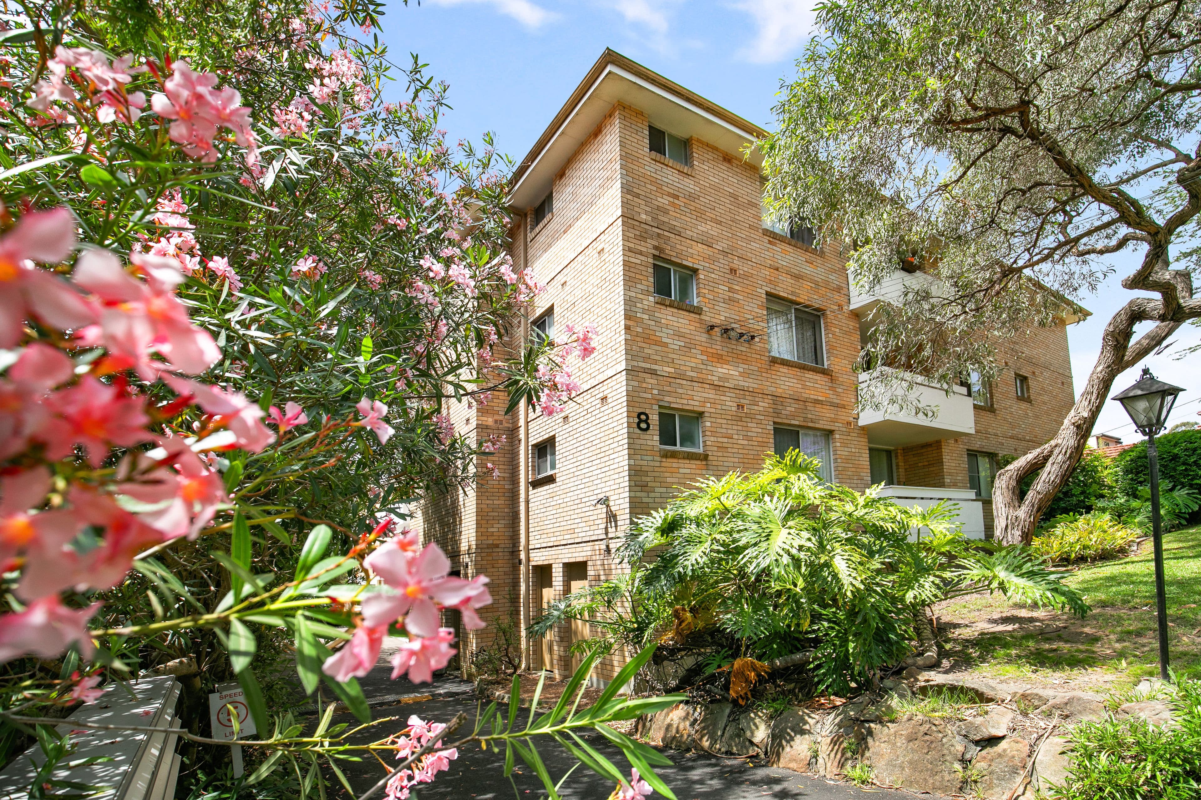 8 Vale Street, Cammeray NSW 2062, Cammeray - Thumbnail 5