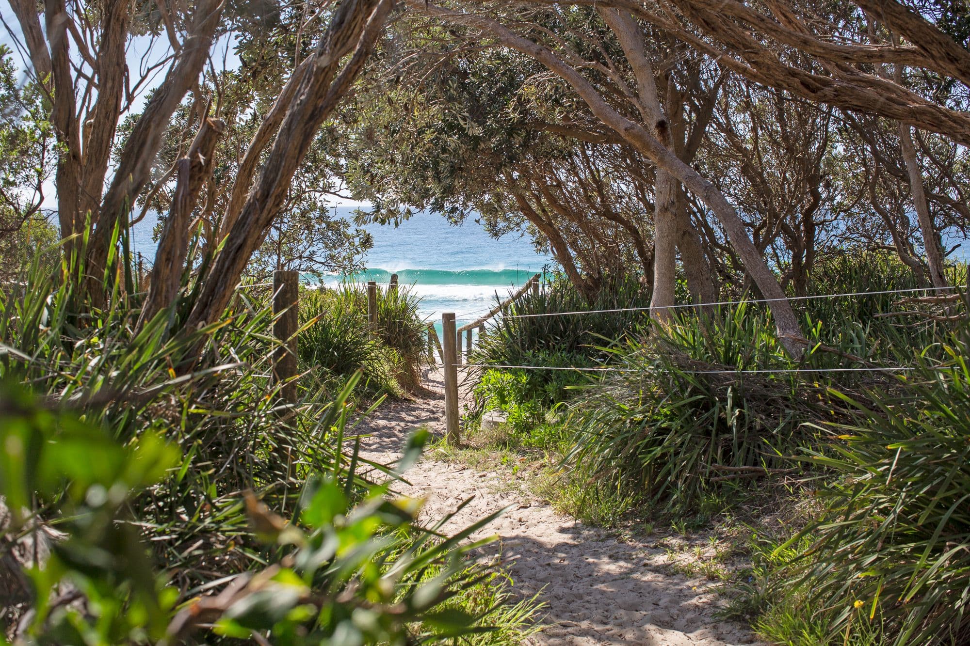 33 Newman Avenue, Blueys Beach NSW 2428, Blueys Beach - Thumbnail 4