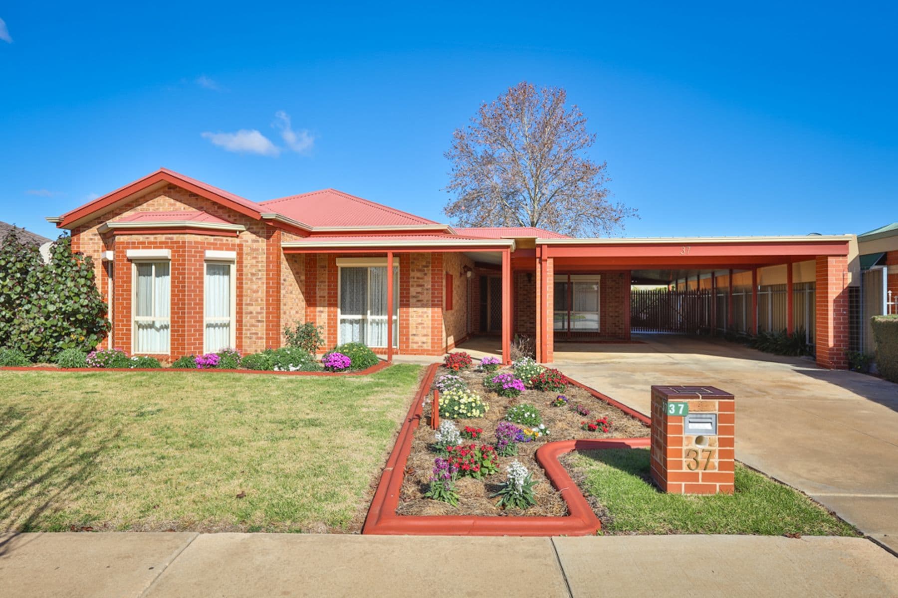 37 Plantation Street, Mildura - Image 1