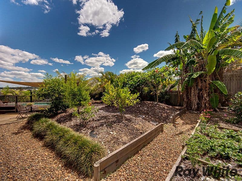 8 Skye Place, UPPER KEDRON QLD 4055, Upper Kedron - Thumbnail 5