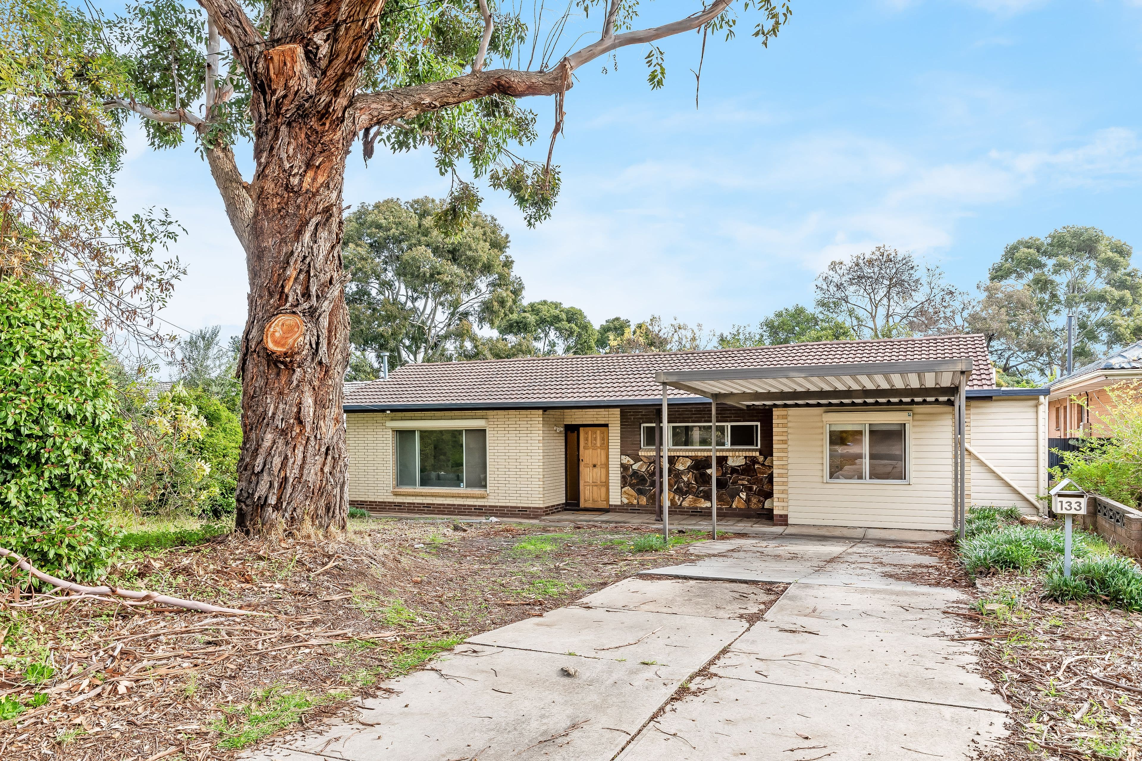 133 Haines Road, Banksia Park SA 5091, Banksia Park - Thumbnail 2