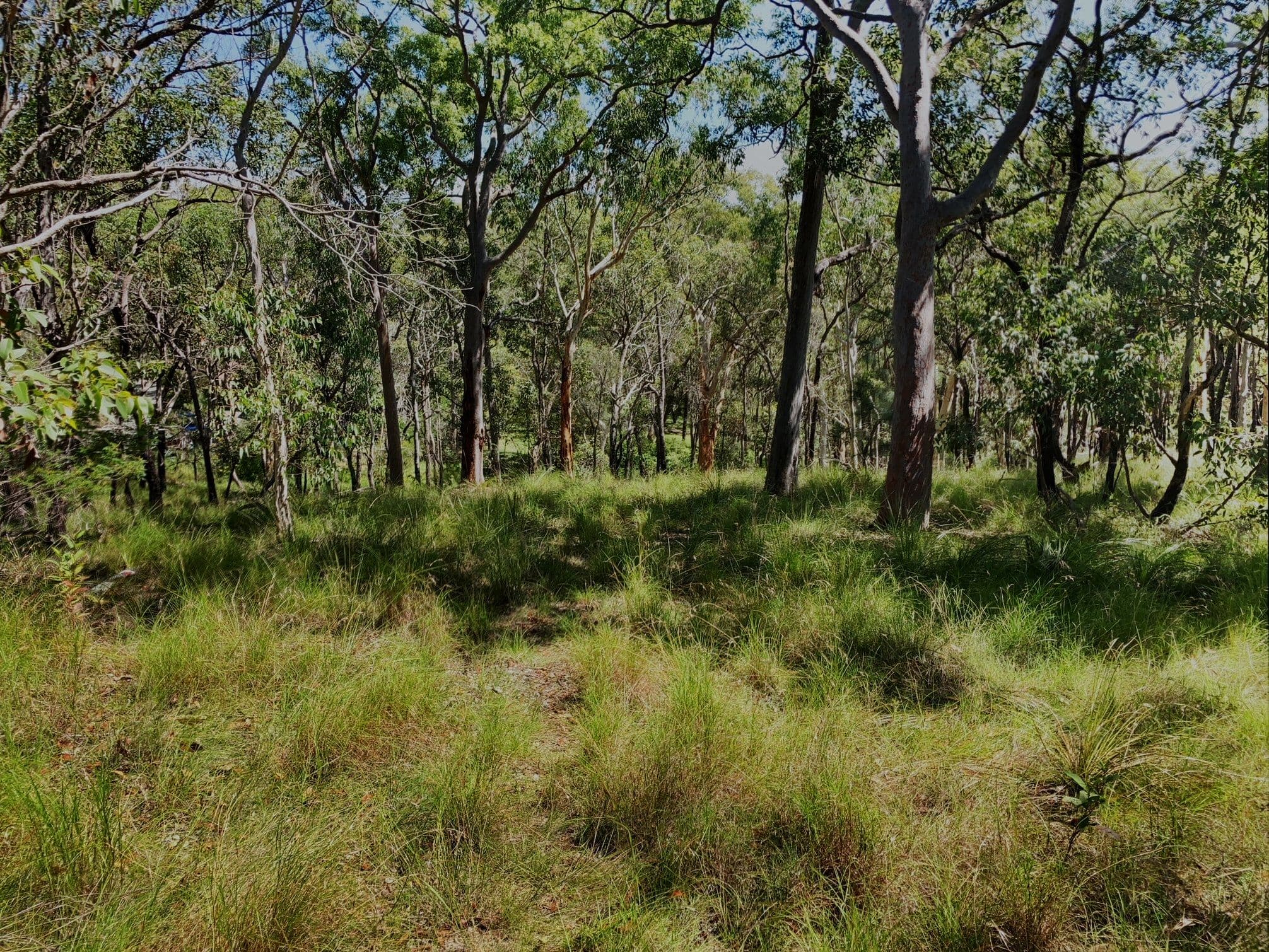 1 Fishery Point Road, Mirrabooka NSW 2264, Mirrabooka - Thumbnail 2