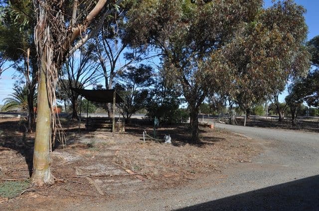 Lot 86 Edith Terrace, BALAKLAVA SA 5461, Balaklava - Thumbnail 6
