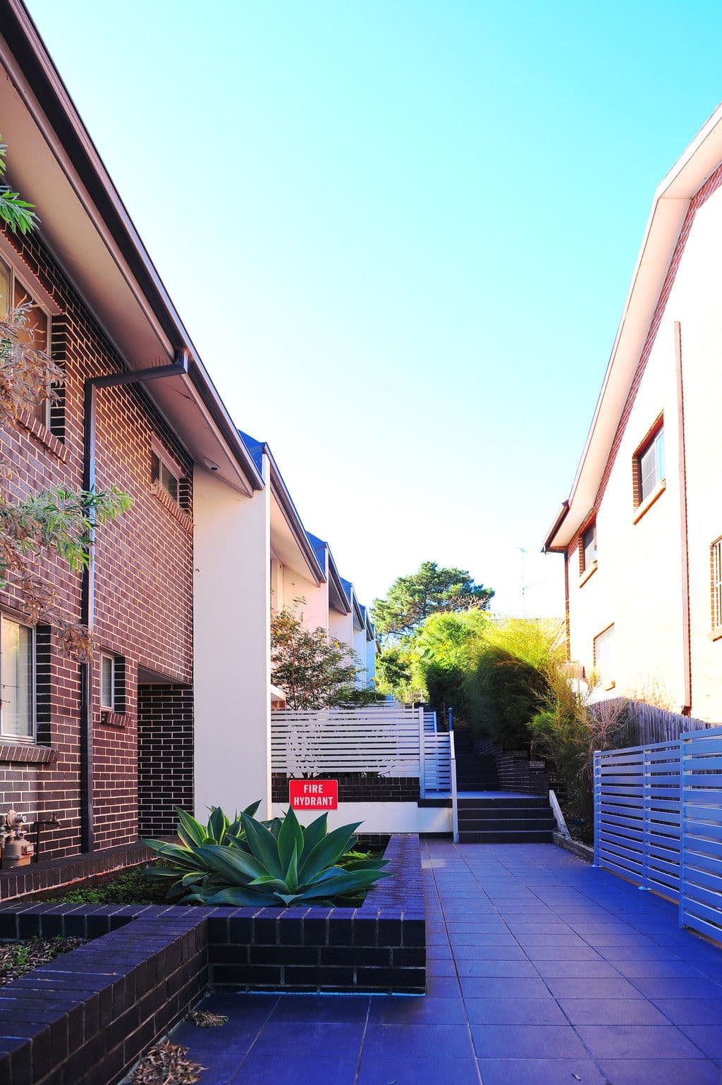 6 Carson Street, Dundas Valley NSW 2117, Dundas Valley - Thumbnail 2