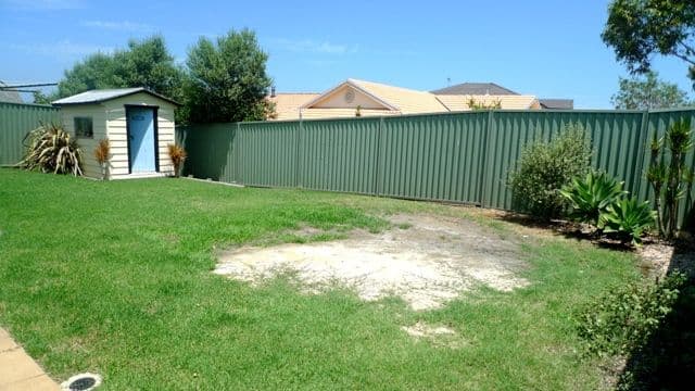 16 Apple Blossom Way, HAMLYN TERRACE NSW 2259, Hamlyn Terrace - Thumbnail 8
