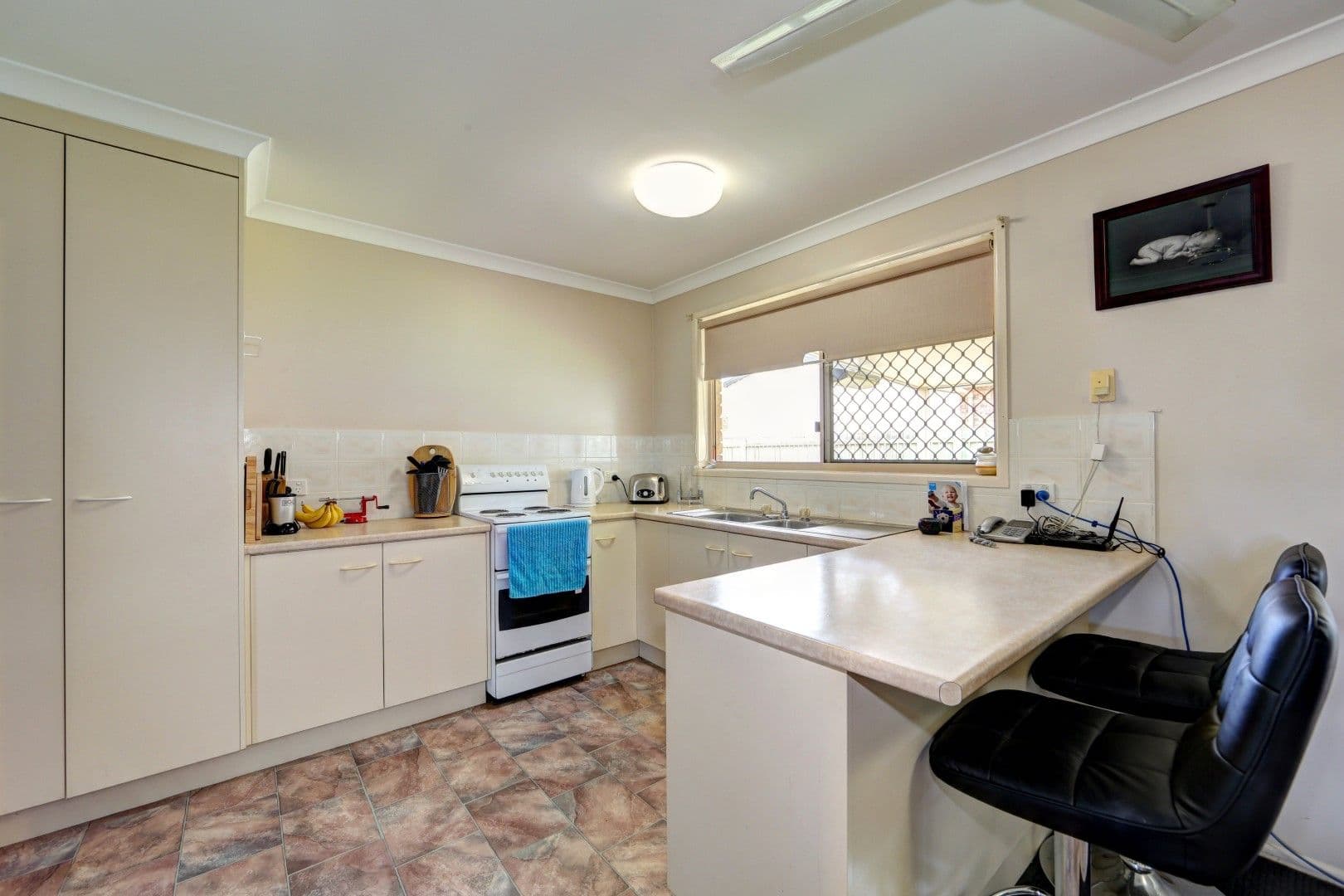 19 Pettigrew Drive, KALKIE QLD 4670, Kalkie - Thumbnail 3
