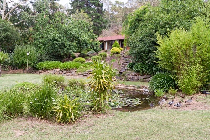344 Main Road, COROMANDEL VALLEY SA 5051, Coromandel Valley - Thumbnail 2