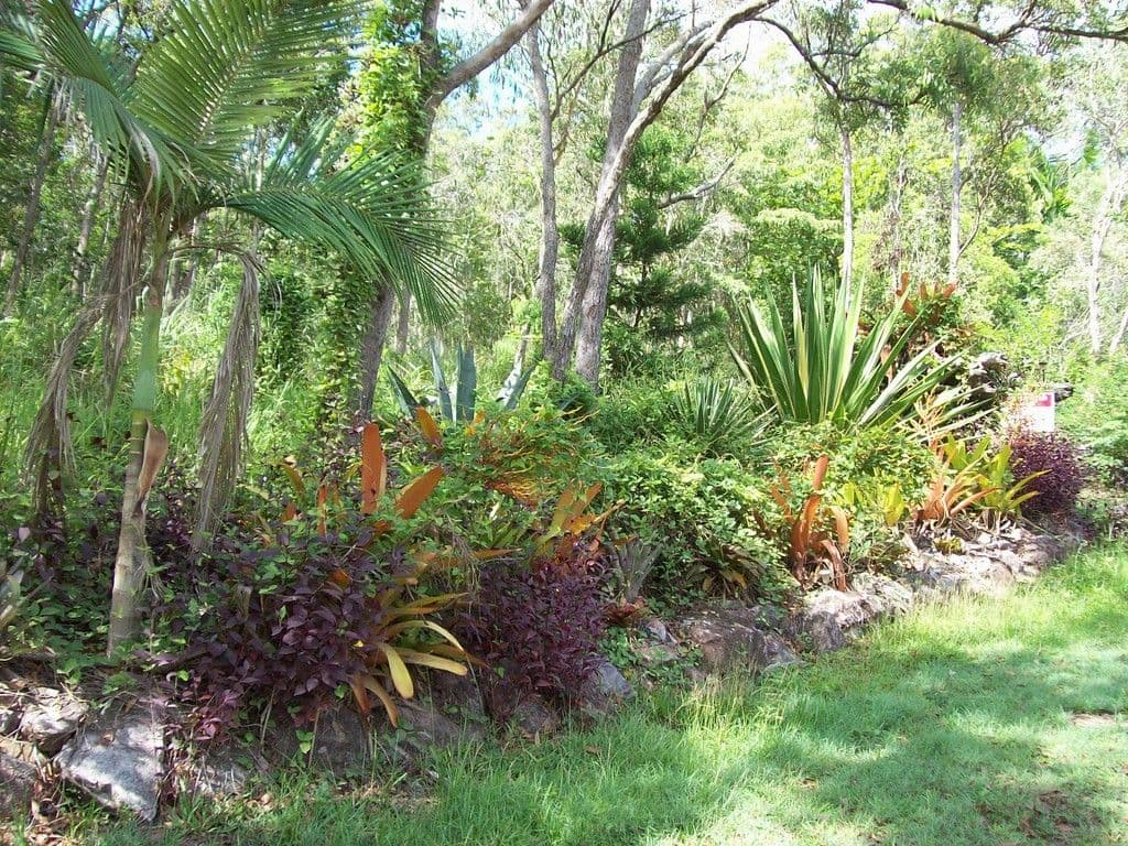 287 Saltwater Creek Road, Conway QLD 4800, Conway - Thumbnail 3