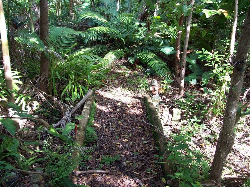 287 Saltwater Creek Road, Conway QLD 4800, Conway - Thumbnail 6