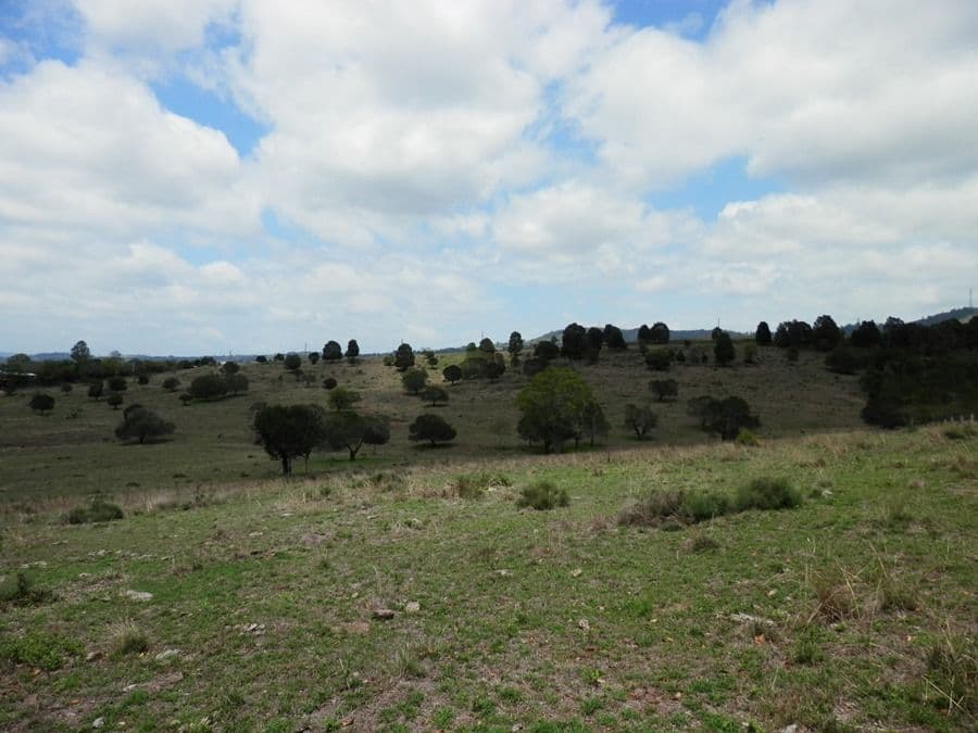 Lot 400 Voss Road, Glamorgan Vale QLD 4306, Glamorgan Vale - Thumbnail 7
