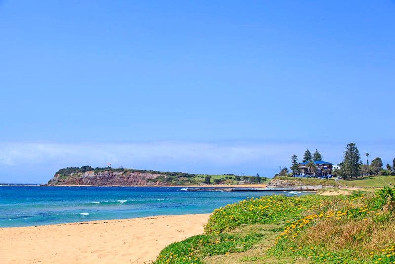 10-12 Stuart Street, COLLAROY NSW 2097, Collaroy - Thumbnail 7