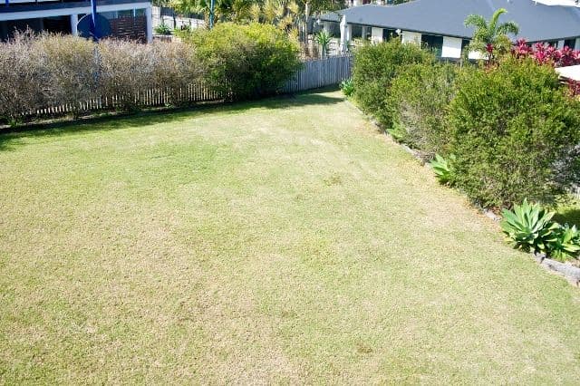 4 Jade Court, GLENELLA QLD 4740, Glenella - Thumbnail 7