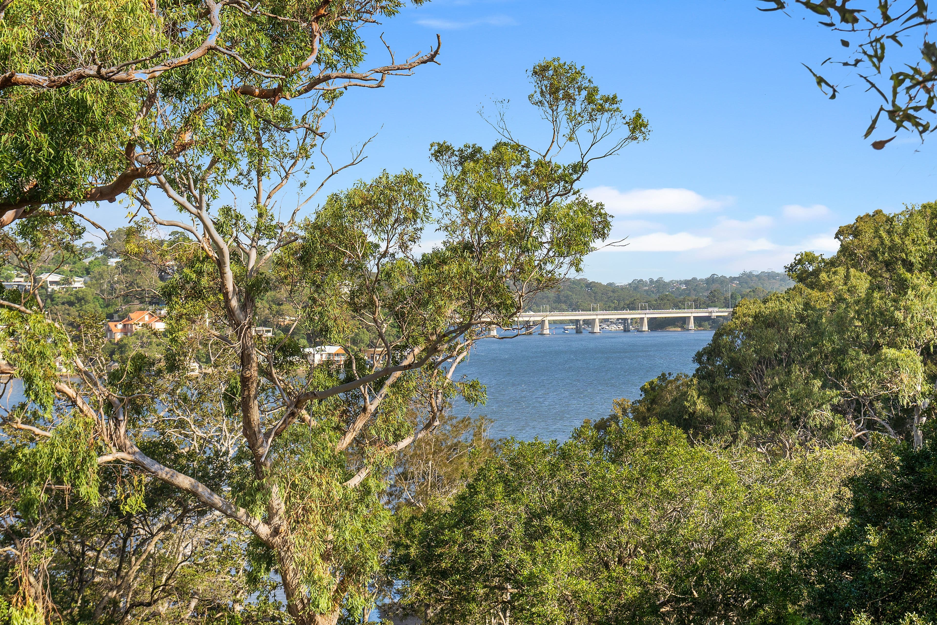 3 Raymond Street, Oatley NSW 2223, Oatley - Thumbnail 5