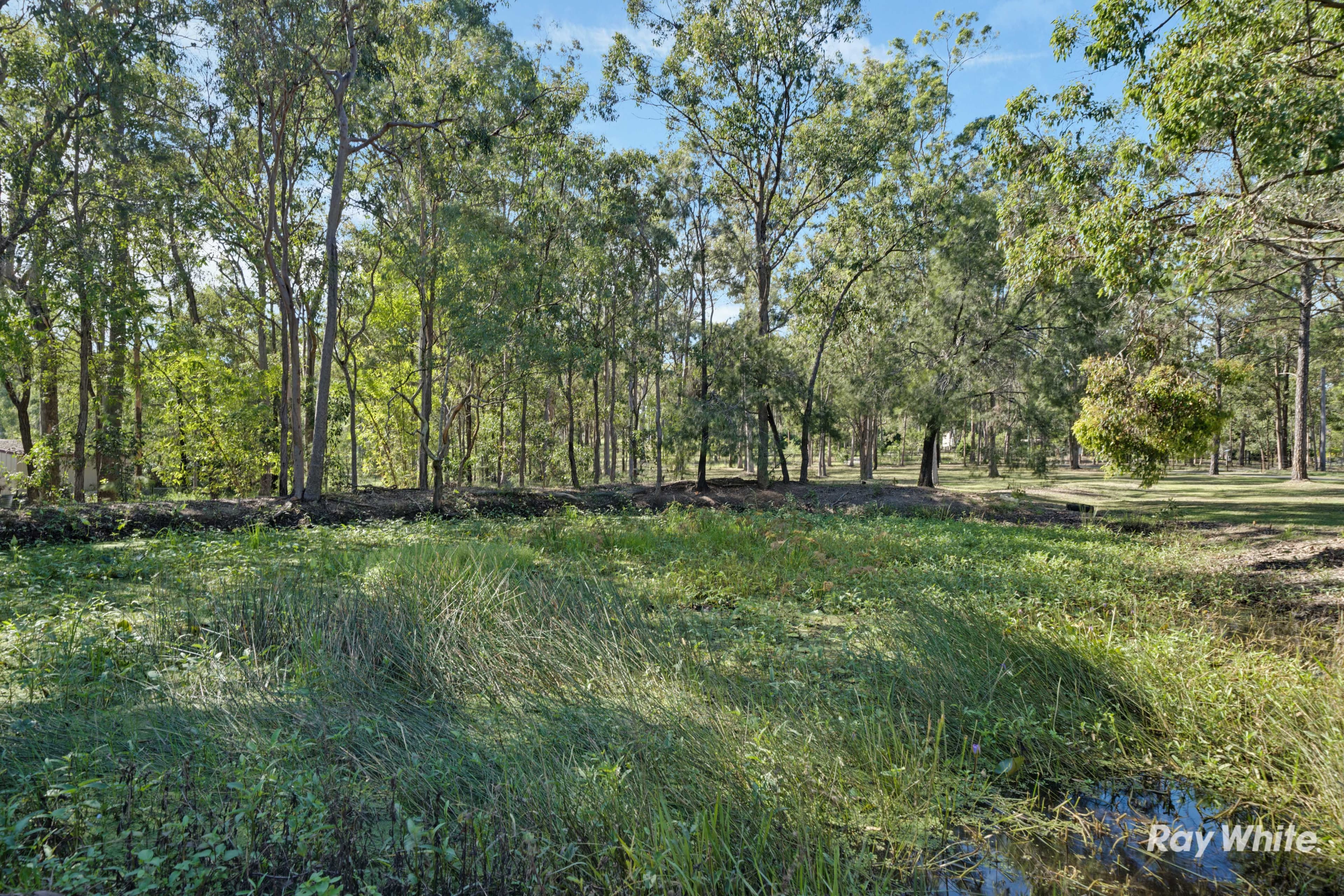 290-294 Loganview Road North, Logan Reserve QLD 4133, Logan Reserve - Thumbnail 7