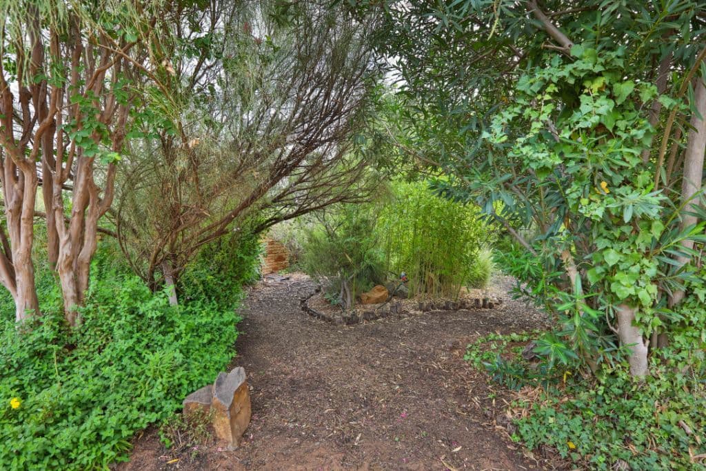 266 Bromley Road, Robinvale VIC 3549, Robinvale - Thumbnail 3
