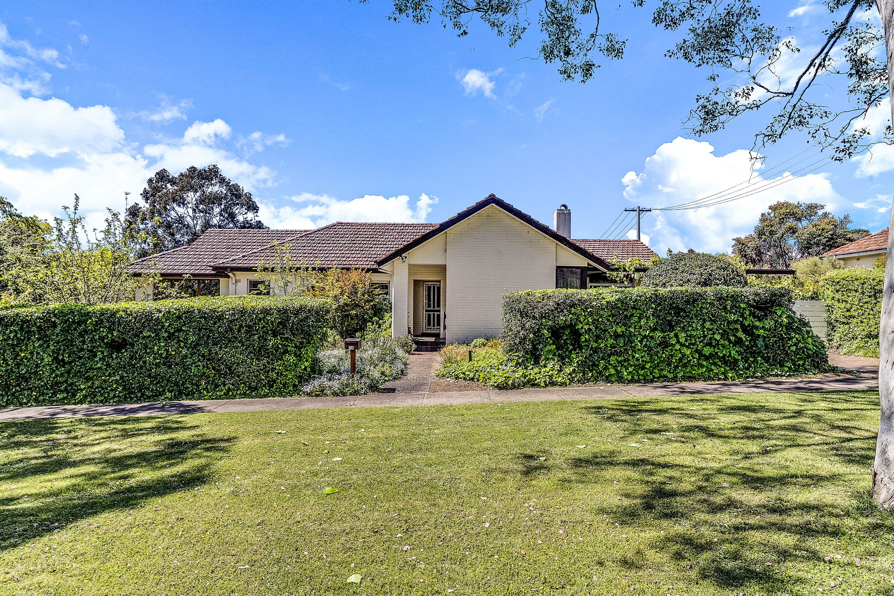 78 David Street, Turner ACT 2612, Turner - Image 1