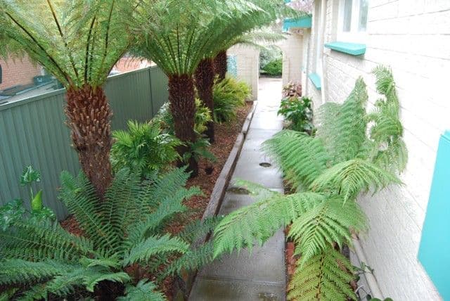 1 Nairana Street, GRAVELLY BEACH TAS 7276, Gravelly Beach - Thumbnail 7