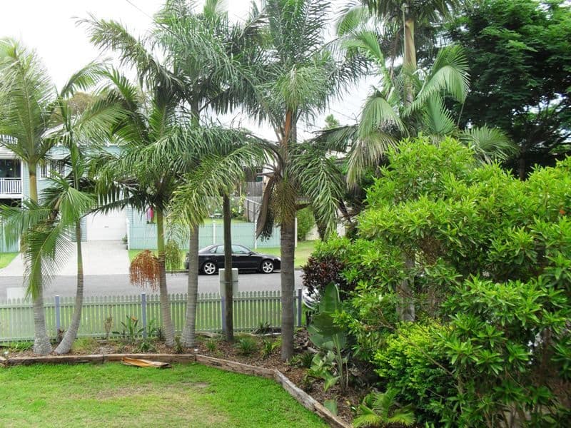 2 Coke Street, CAMP HILL QLD 4152, Camp Hill - Thumbnail 5