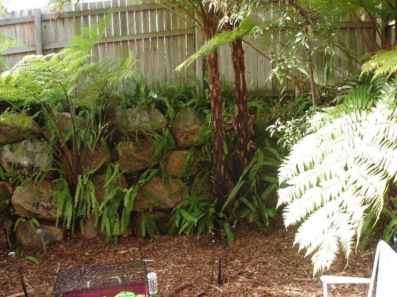 55 Beckwith Street, ORMISTON QLD 4160, Ormiston - Thumbnail 2
