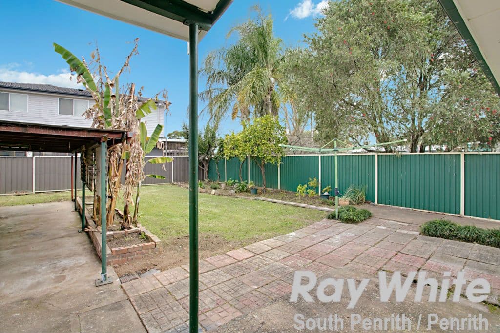 14 Campton Avenue, Cambridge Park - Thumbnail 8