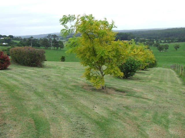 Lot 2 - 230 Princes Highway, MILTON NSW 2538, Milton - Thumbnail 7