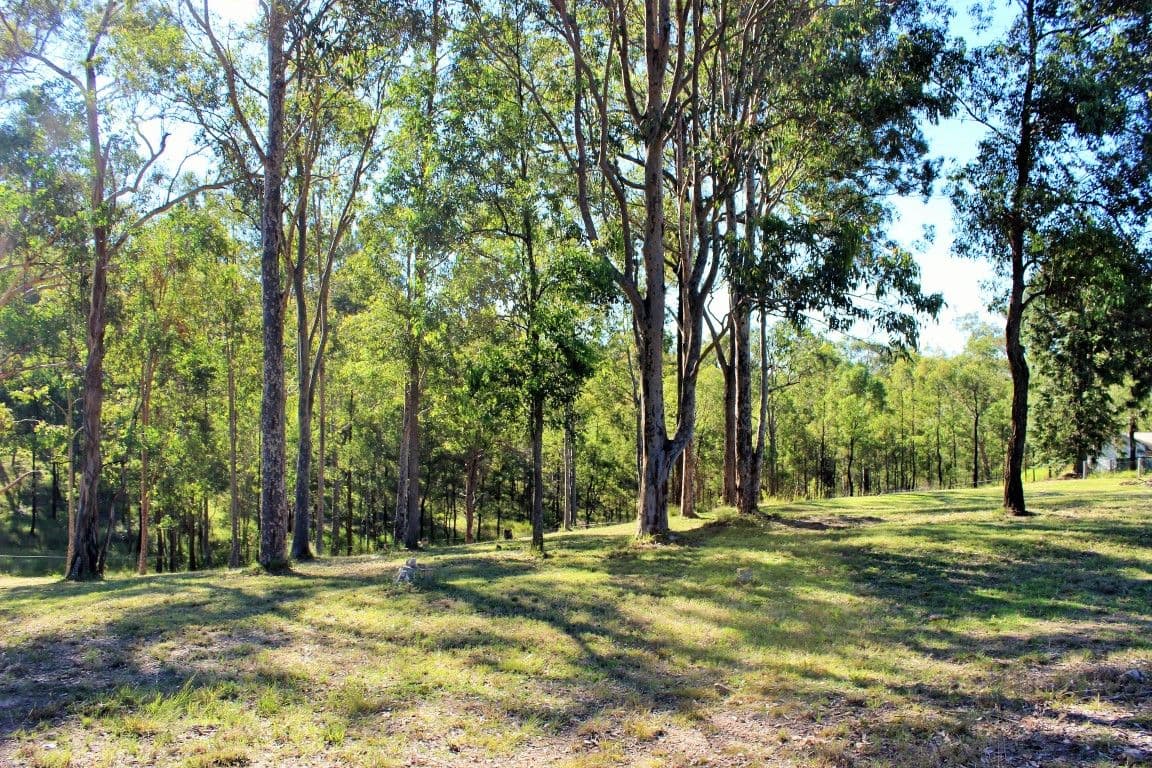 47 Earl Street, CLARENCE TOWN NSW 2321, Clarence Town - Thumbnail 5