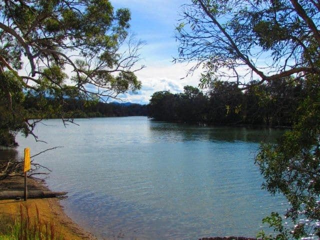 23 Allison Road, HYLAND PARK NSW 2448, Hyland Park - Thumbnail 5