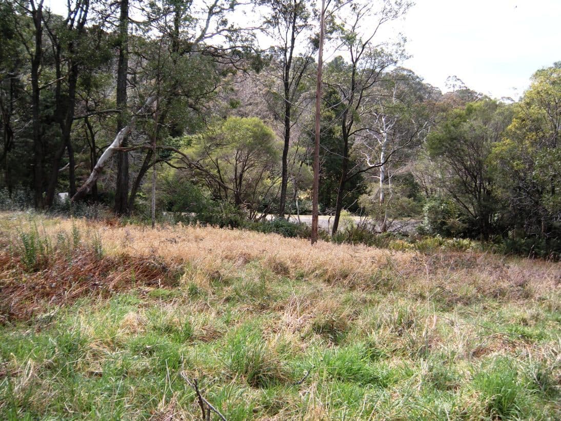 20 Gardiners Crescent, BLACKHEATH NSW 2785, Blackheath - Thumbnail 2
