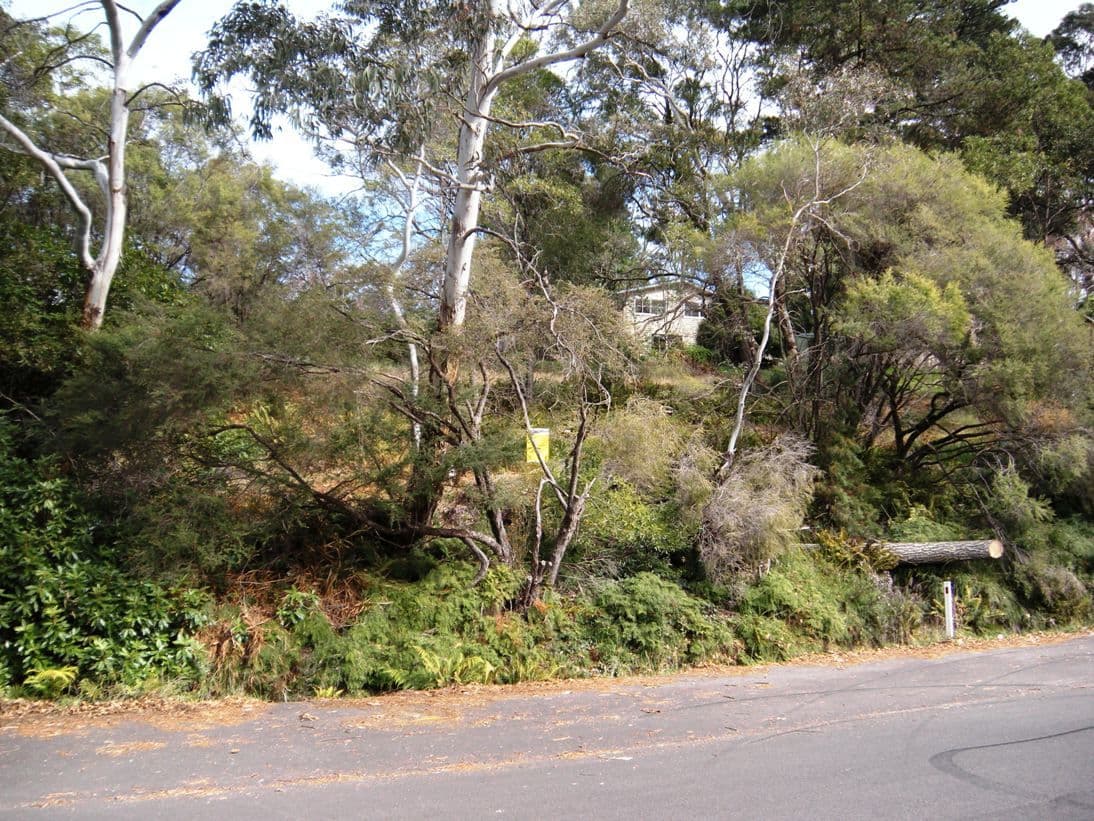 20 Gardiners Crescent, BLACKHEATH NSW 2785, Blackheath - Thumbnail 4