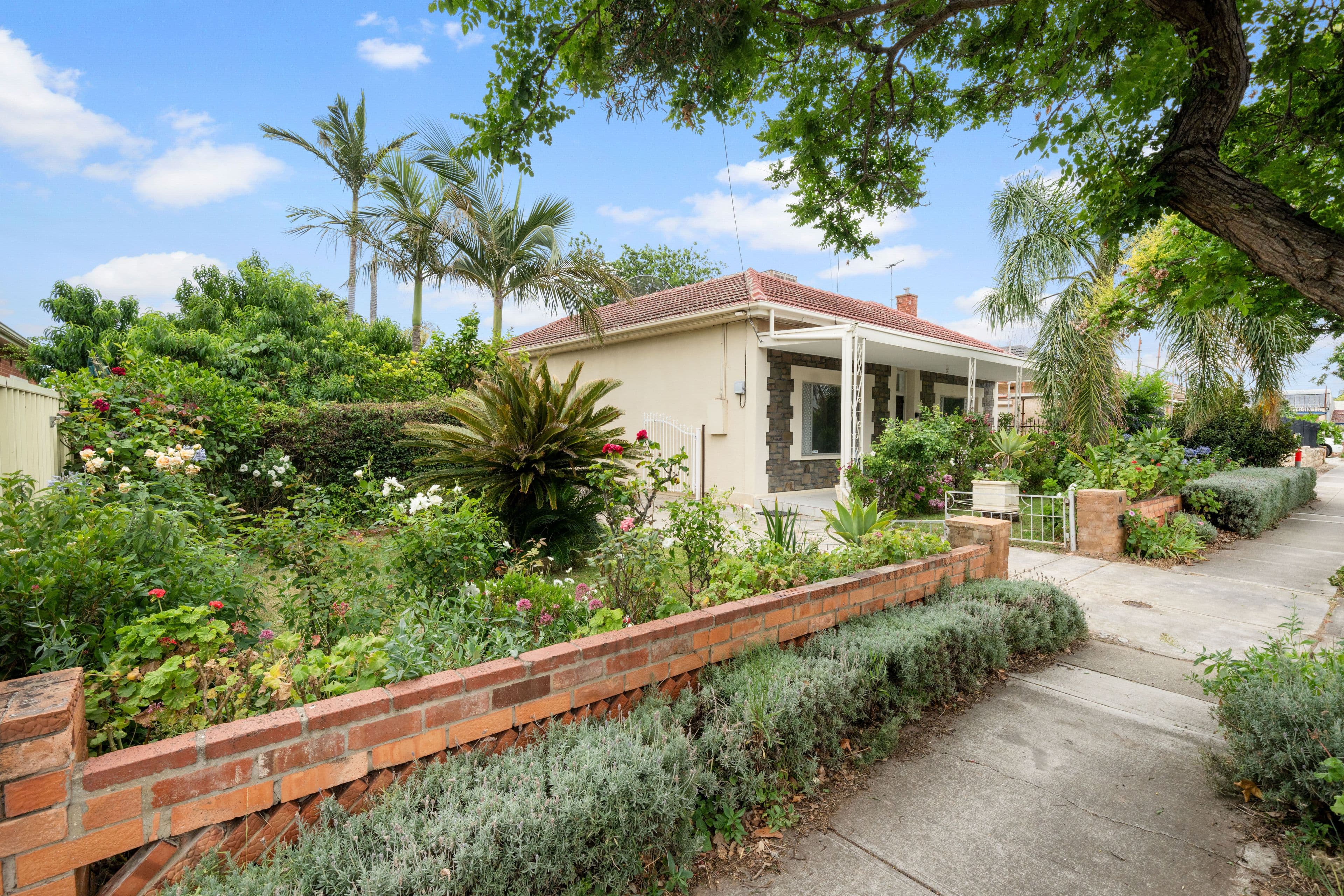 49 Hardys Road, Underdale SA 5032, Underdale - Thumbnail 2